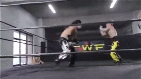 Chinese-Wrestling-Federation-CWF-Jason-Lee-vs.-Gao-Yuan-cool-sequence-German-Suplex-and-kick.gif